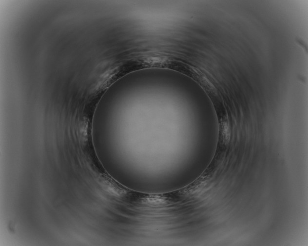 X0000091910668200709121518