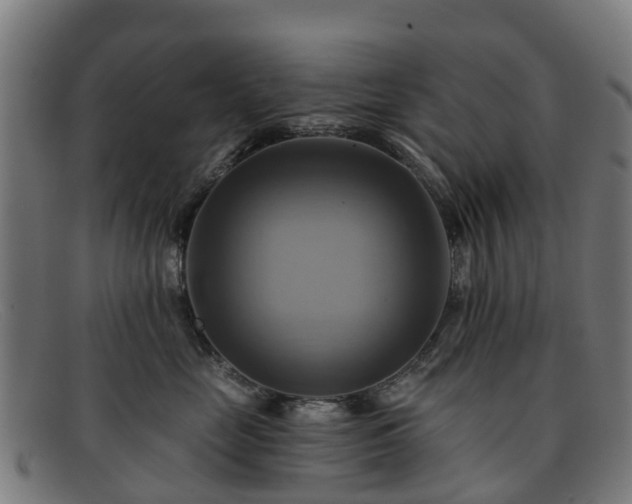 X0000091910669200709121518