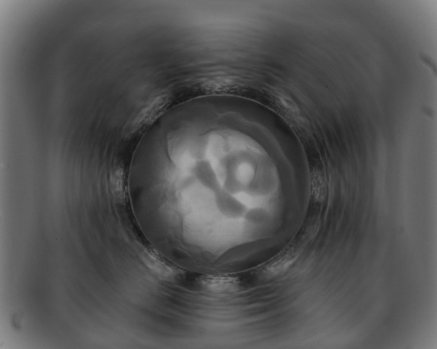 X0000091910670200709121518