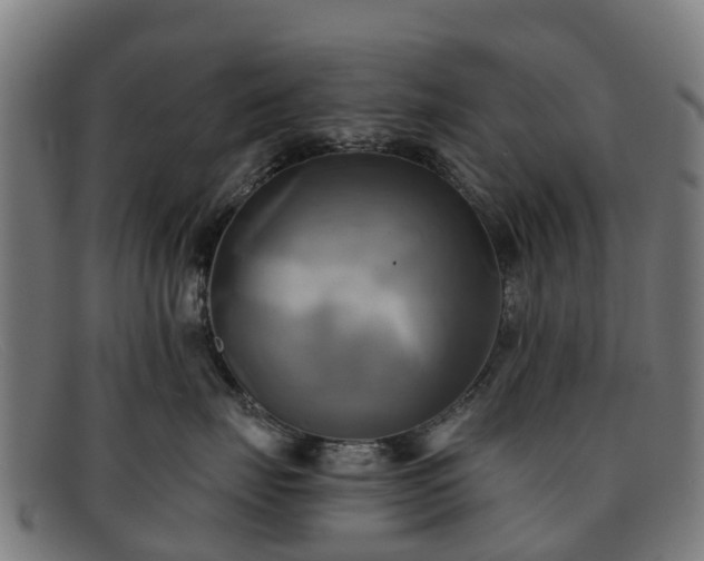 X0000091910671200709121518