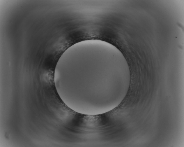 X0000091910672200709121518