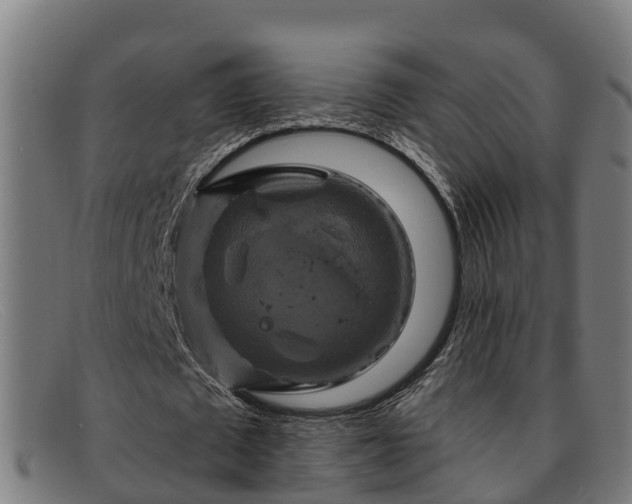 X0000091910673200709121518