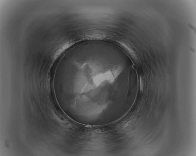 X0000091910675200709121518