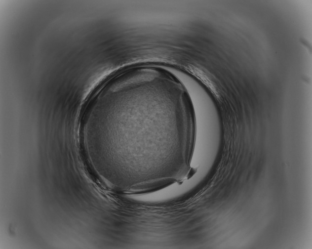 X0000091910676200709121517