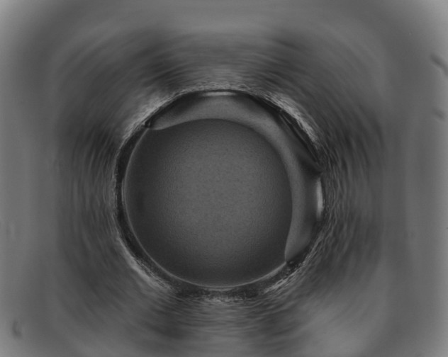 X0000091910677200709121517