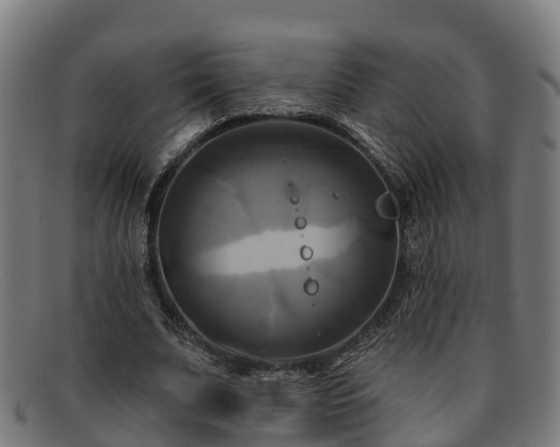 X0000091910679200709121517