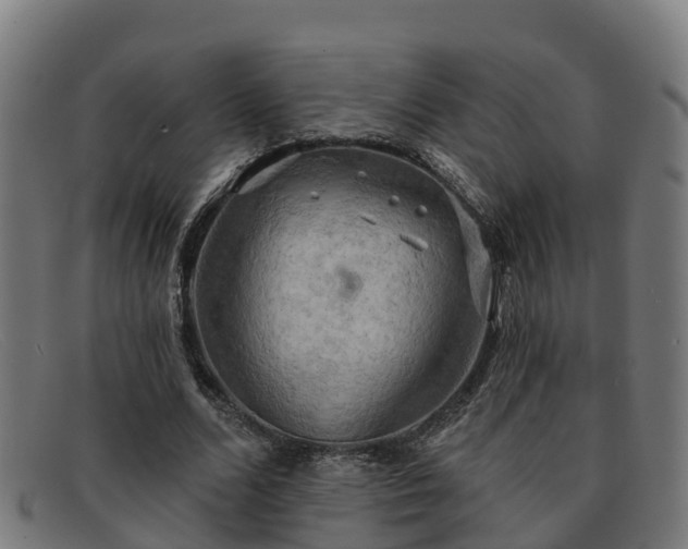 X0000091910680200709121517