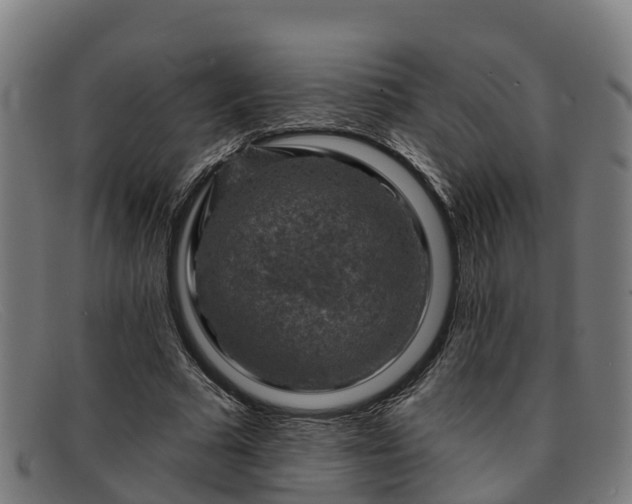 X0000091910681200709121517