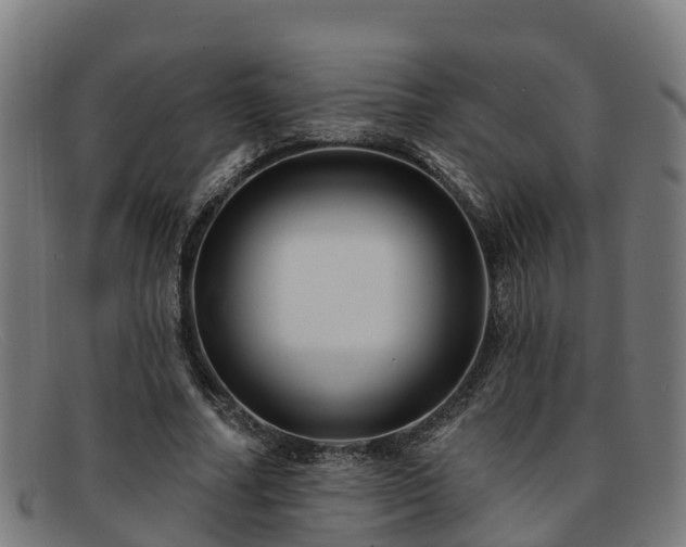 X0000091910682200709121517