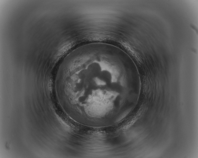 X0000091910683200709121517