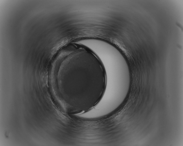 X0000091910685200709121517