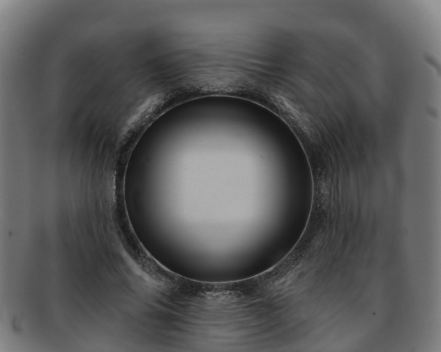 X0000091910686200709121517