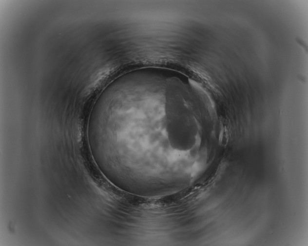 X0000091910687200709121517