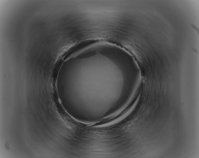 X0000091910688200709121517