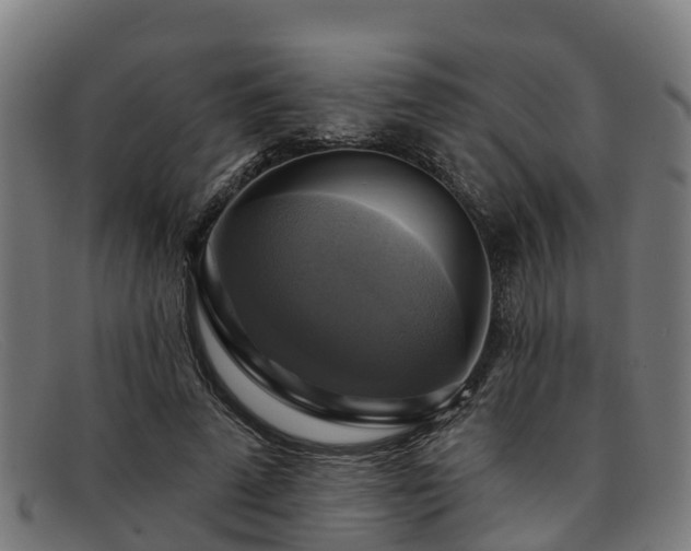 X0000091910689200709121517