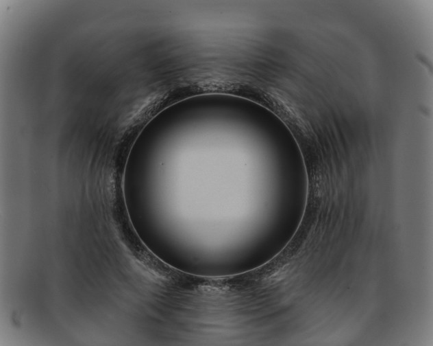 X0000091910690200709121517