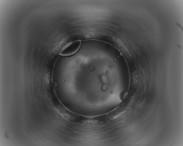 X0000091910691200709121517