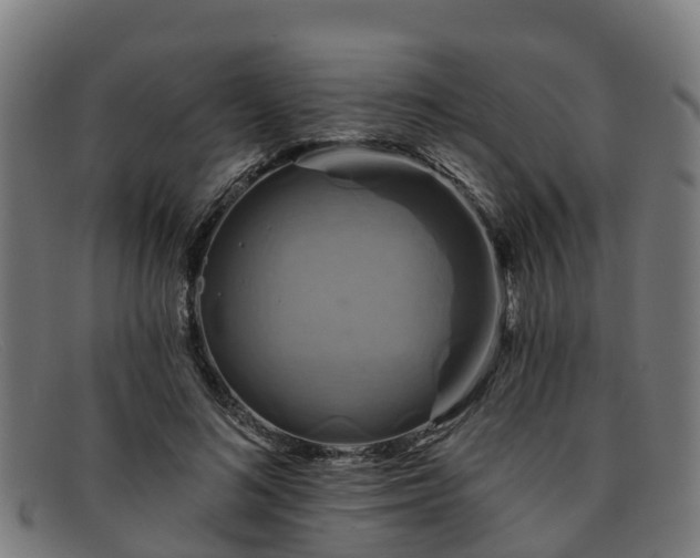 X0000091910692200709121517