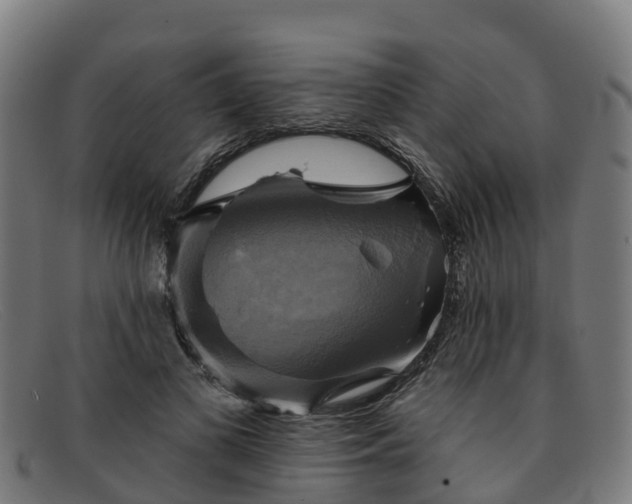 X0000091910693200709121517