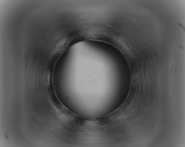 X0000091910694200709121517