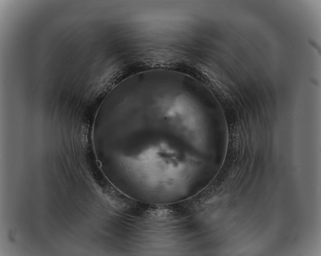 X0000091910695200709121517