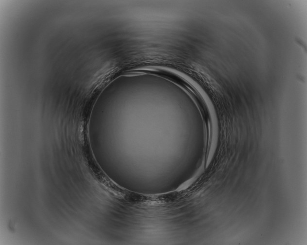 X0000091910696200709121517