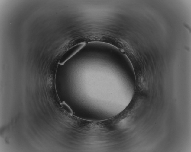 X0000091910697200709121517