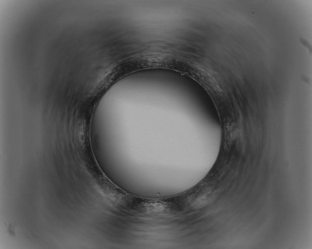 X0000091910698200709121517