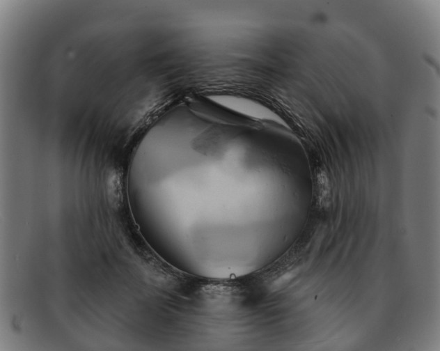 X0000091910699200709121517