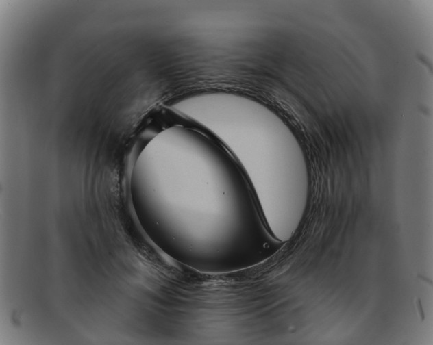 X0000091910700200709121517