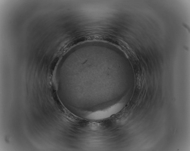 X0000091910701200709121517