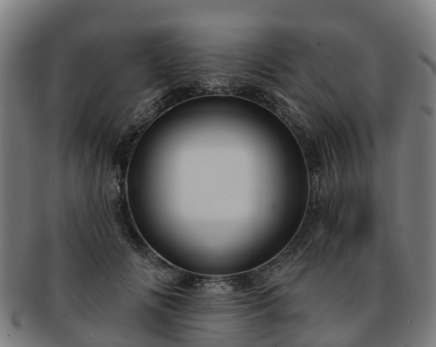 X0000091910702200709121517