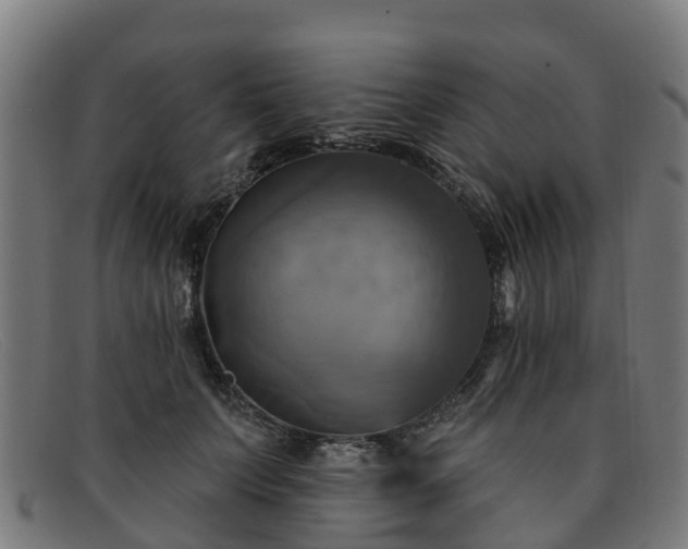 X0000091910703200709121517