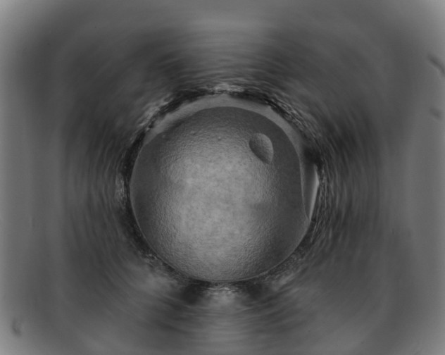 X0000091910704200709121517