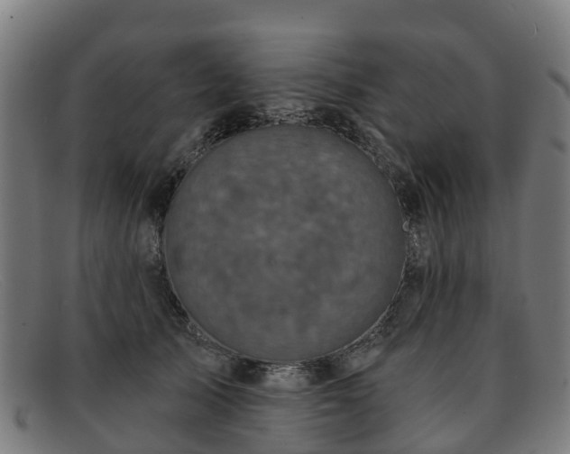 X0000091910705200709121517