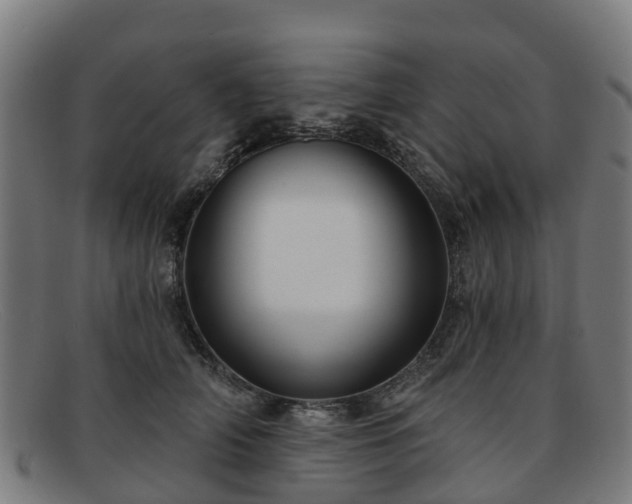 X0000091910706200709121517