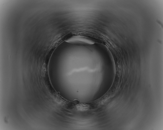 X0000091910707200709121517