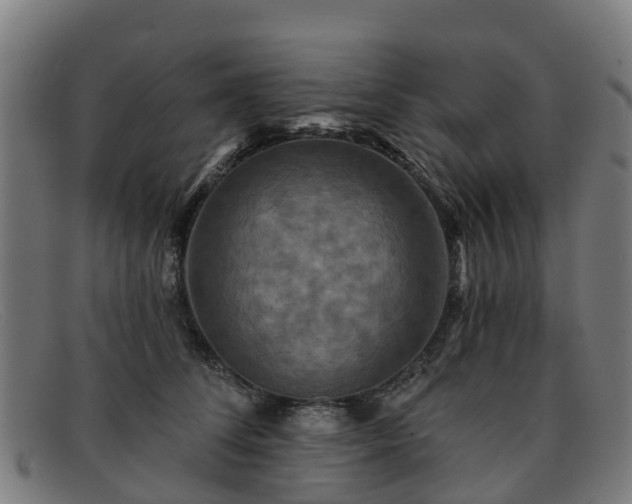 X0000091910708200709121517