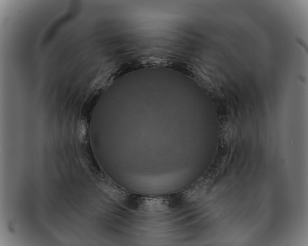 X0000091910709200709121517