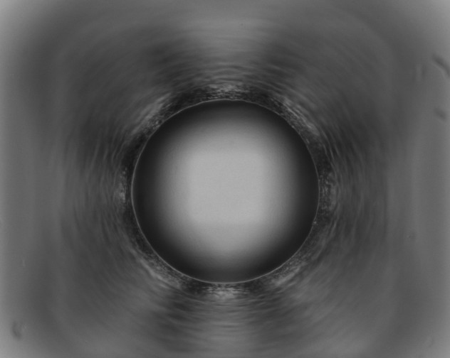 X0000091910710200709121517