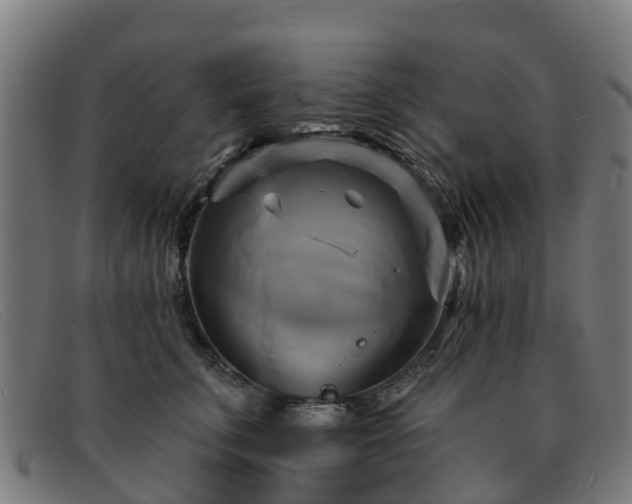 X0000091910711200709121517