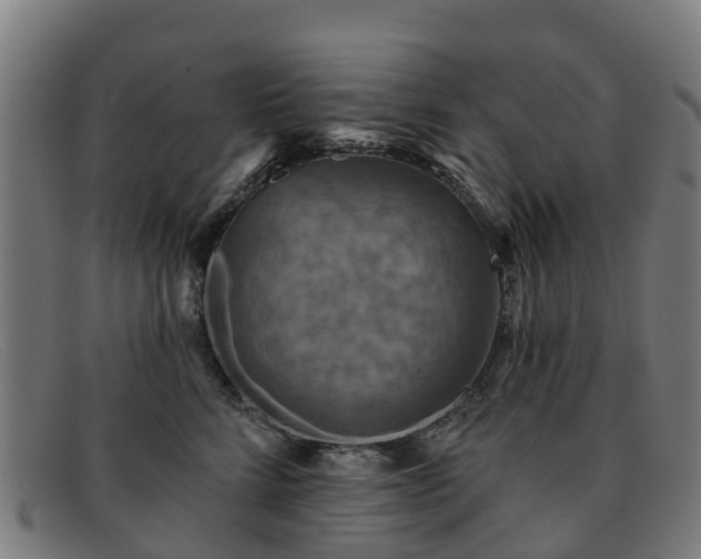 X0000091910712200709121517