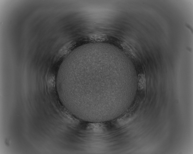 X0000091910713200709121517