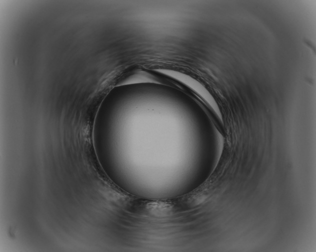 X0000091910714200709121517