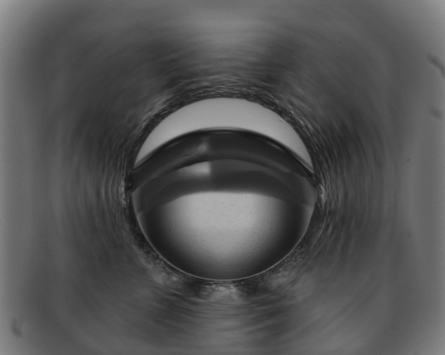 X0000091910715200709121517