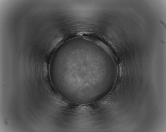 X0000091910716200709121517