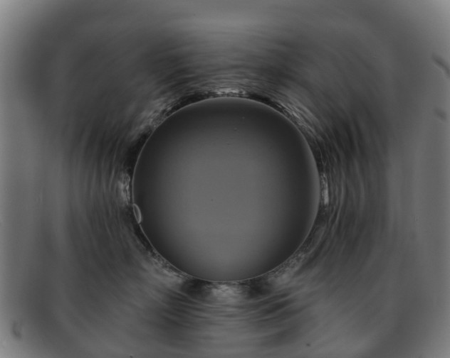 X0000091910718200709121517