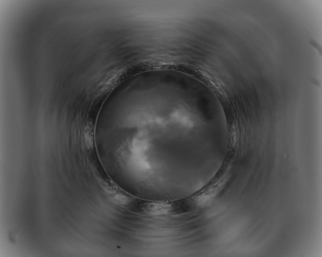 X0000091910719200709121517