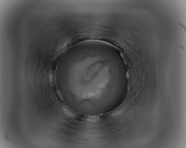 X0000091910720200709121517