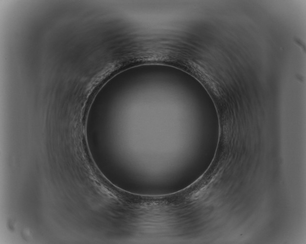 X0000091910721200709121516